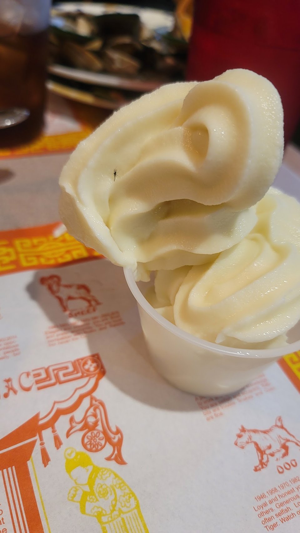 Ice Cream with a Bug
